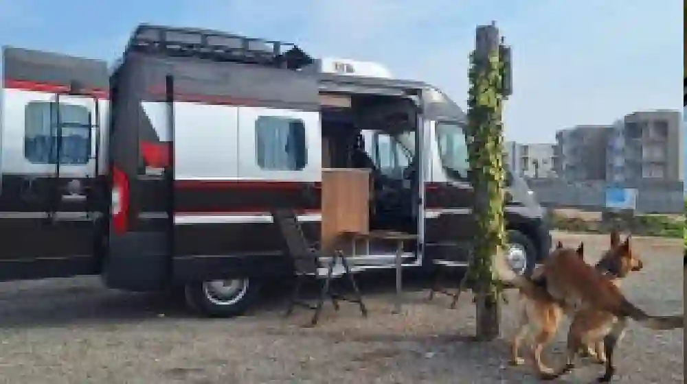 VAN (1)