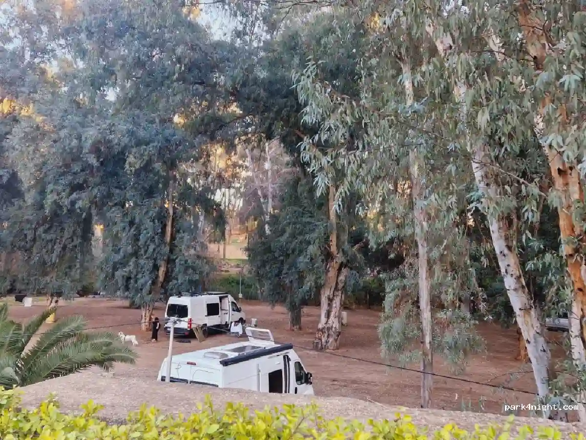 Camping-car dans les cèdres d’Azrou au lever du jour