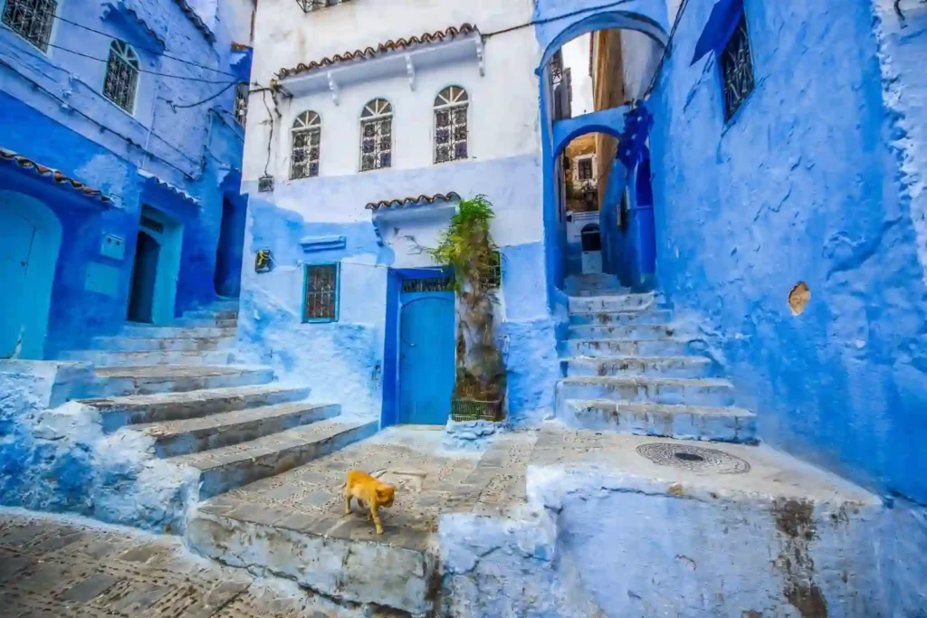 Rent a Camper Van in Morocco | Airport Transfers | Campervan Chefchaouen: The Ultimate 2026 Packing List for Your Blue City Trip Campervan Chefchaouen